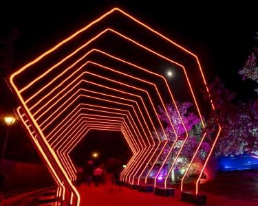 alt_im: MIRAMAR MAGIKOA - Domingo, 07/12